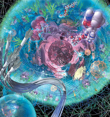 Interior Graphics for UCSD Biomedical Library ©Linda Nye 2010-2014 