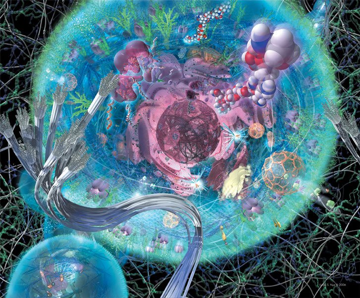 Hanging fabric panel installation of the interior of a cell for the UCSD Biomedical Library