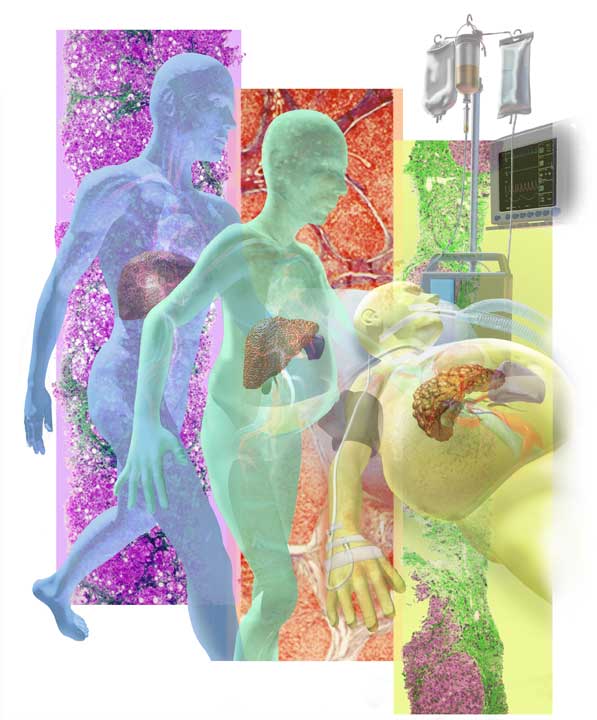 Lind Nye 3D Model Collage for Elitra Pharmaceuticals