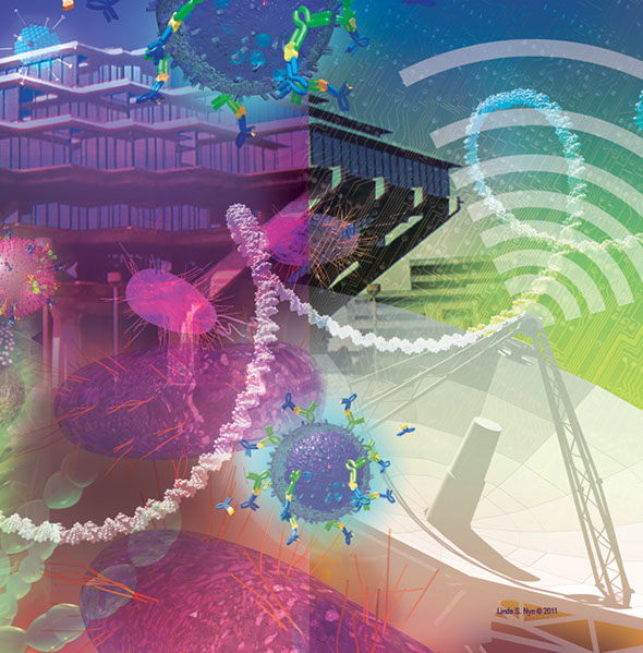 Linda Nye Interior Graphics for UCSD Biomedical Library