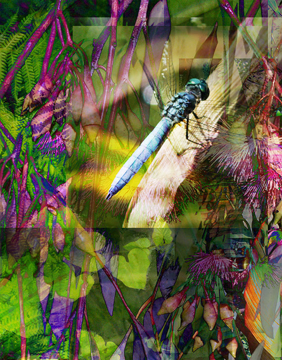 Linda Nye Photo-painting from UCSD Biomedical Library Series