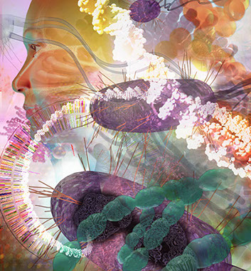 Linda Nye 3D Model Collage for Elitra Pharmaceuticals ©Linda Nye 2010-2014 