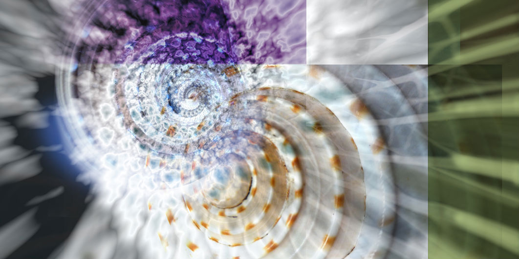 Detail from the Entrance of the UCSD Biomedical Library ©Linda Nye 2010-2014