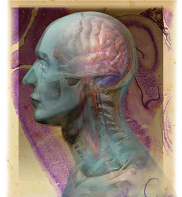 Linda Nye Nursing 2001 Cover ©Linda Nye 2010-2014 