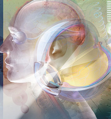 Linda Nye Illustrated Collage ©Linda Nye 2010-2014 