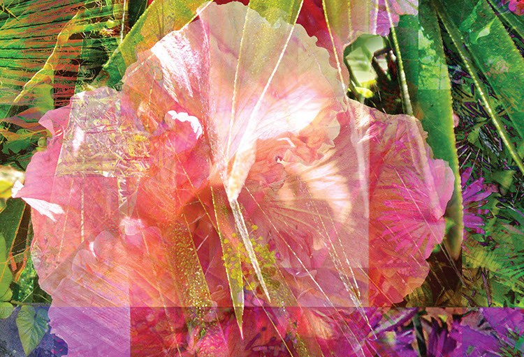 Linda Nye Photo-painting from UCSD Biomedical Library Series: Hybiscus