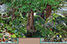A 36' photocomposite illustration of California landscapes and plants from the ocean to the mountains, day to night. Embeded in the landscape ar