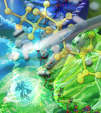 Linda Nye UCSD Biomdedical Library Interior Graphics ©Linda Nye 2010-2014 