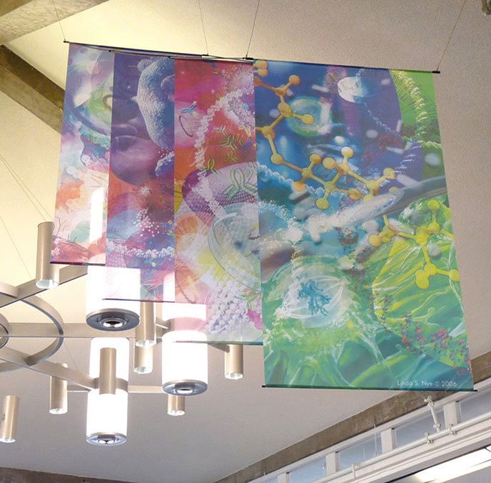 Linda Nye Interior Graphics for UCSD Biomedical Library