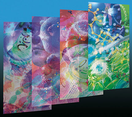 Interior Graphics for UCSD Biomedical Library ©Linda Nye 2010-2014 