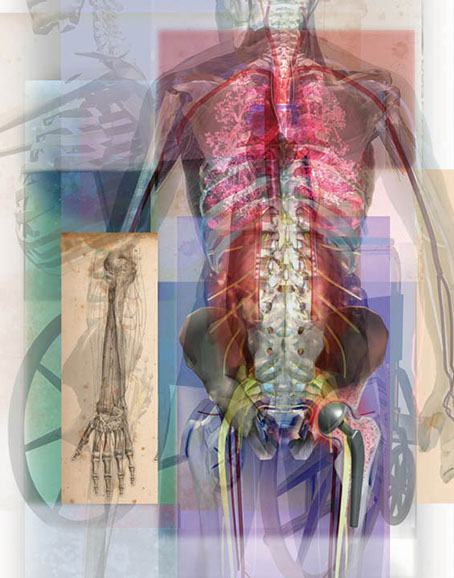 Linda Nye Ingenix Medical Book Cover ©Linda Nye 2010-2014 