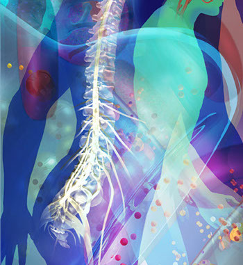 Interior Graphics for UCSD Biomedical Library ©Linda Nye 2010-2014 