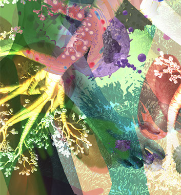 Interior Graphics for UCSD Biomedical Library ©Linda Nye 2010-2014 