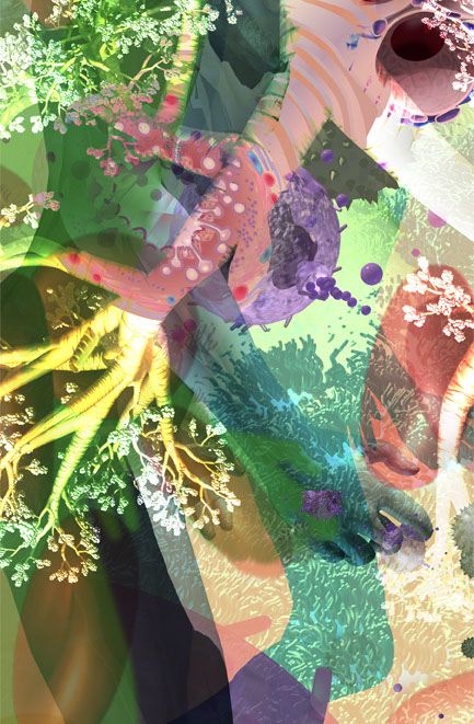 Linda Nye Interior Graphics for UCSD Biomedical Library