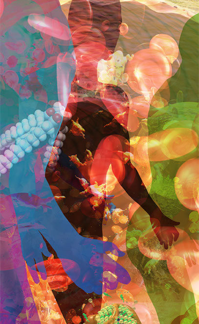 Detail focusing on circulating blood and it's parts from fabric panel installation for UCSD Biomedical Library.