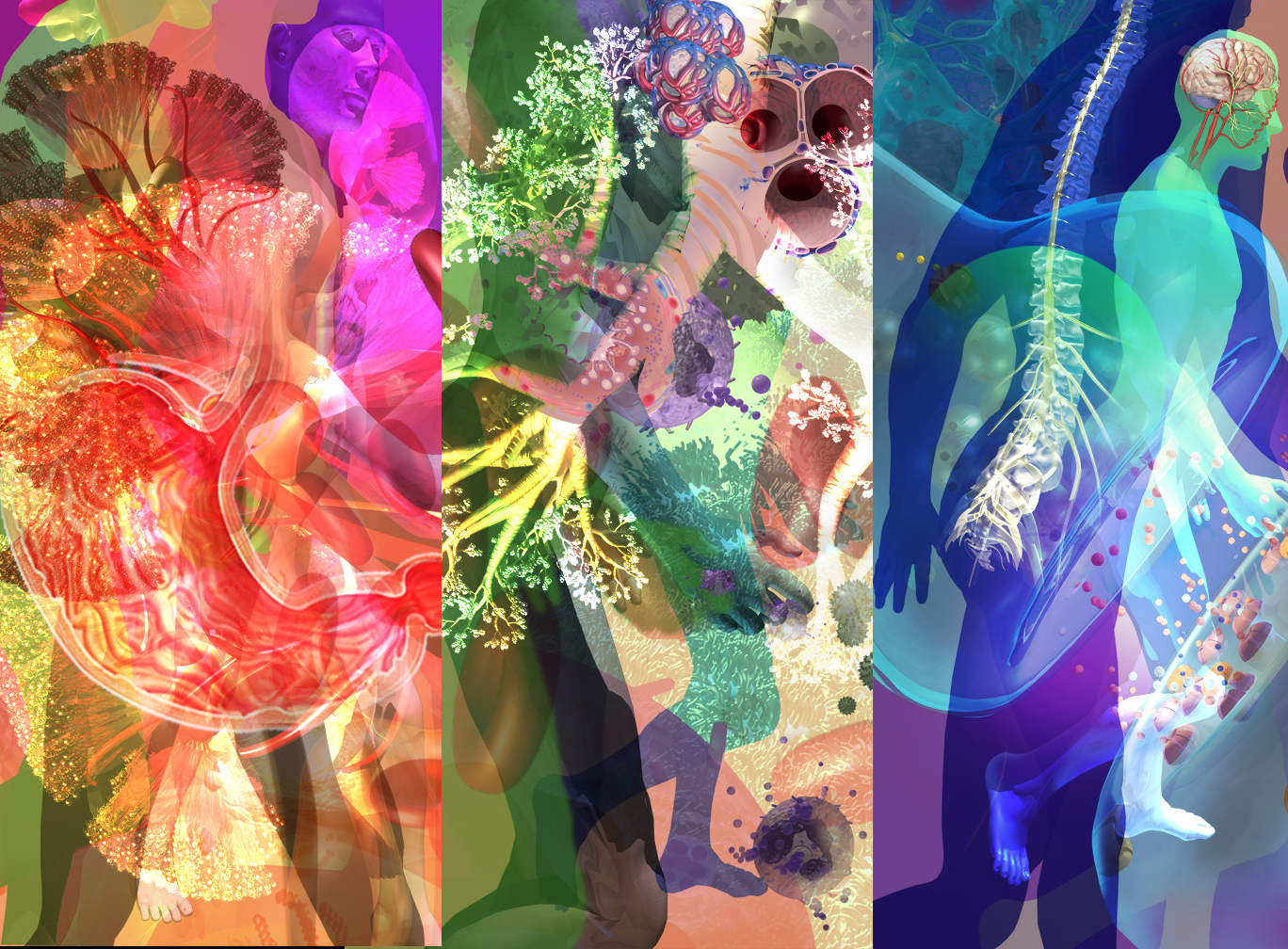 Large fabric panels hanging in a staircase at the UCSD Biomedical Library. A look at a body in the process of descending a staircase