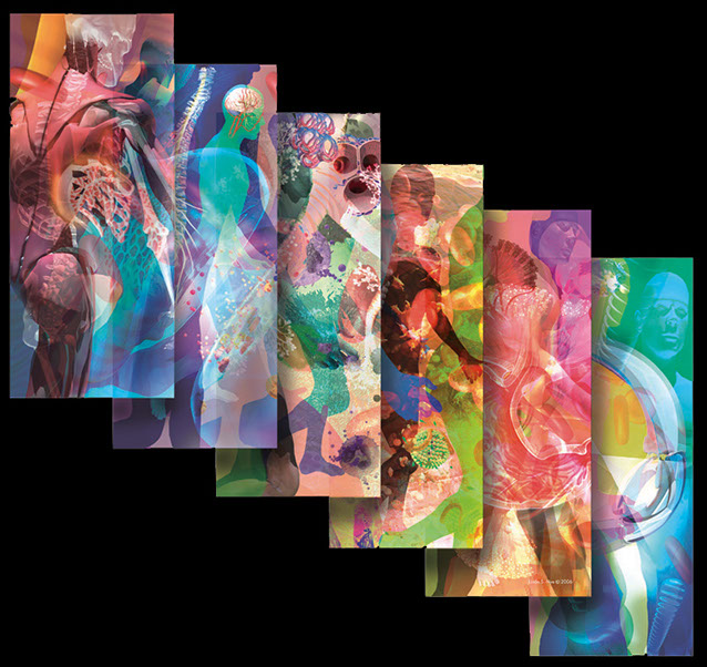 Linda Nye Installation for UCSD Biomedical Library