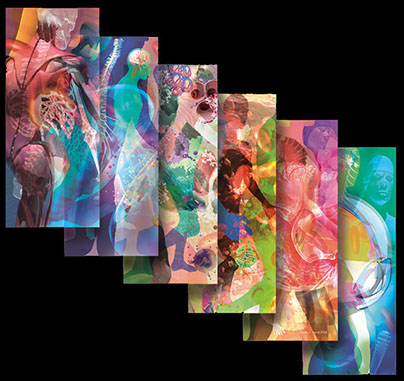 Interior Graphics for UCSD Biomedical Library ©Linda Nye 2010-2014 