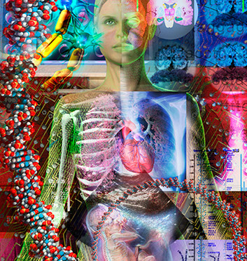 Linda Nye Interior Graphics for UCSD Biomedical Library ©Linda Nye 2010-2014 