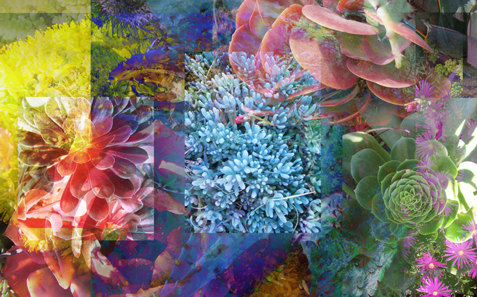 Linda Nye Detail from Photo-painting Series