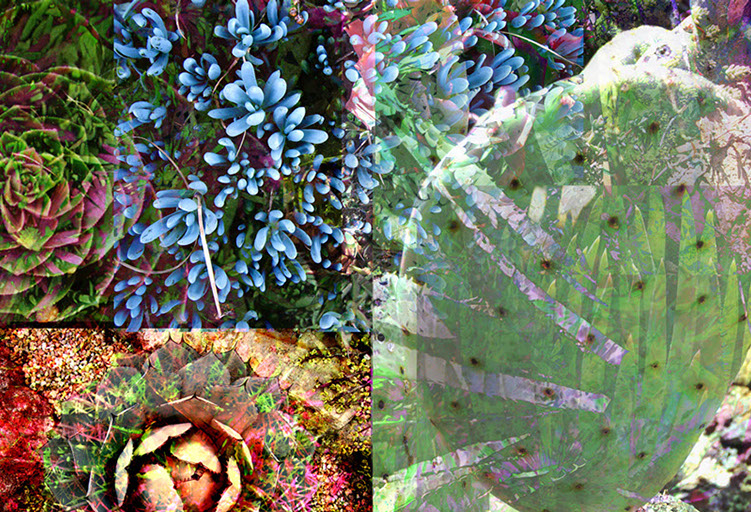 Linda Nye Photo-painting from UCSD Biomedical Library Series